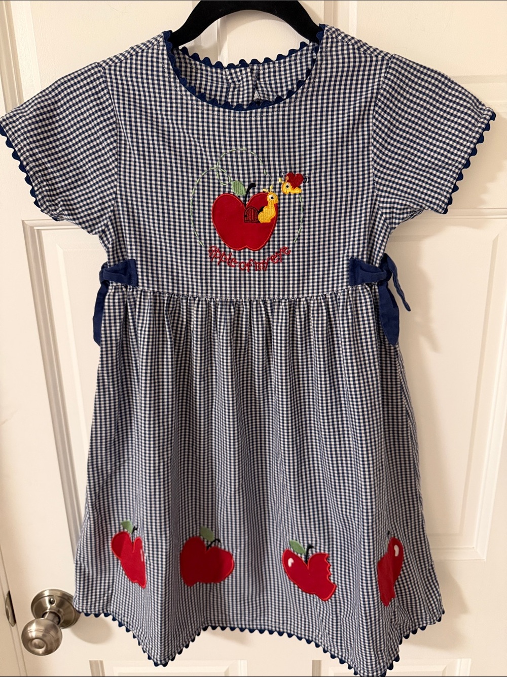 Vintage Buster Brown Blue Gingham Apple of My Eye Appliqué Dress Size 6